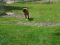 Afb_20160711 (29)